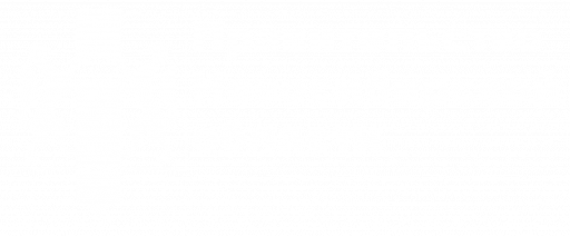 Правительство Новосибирской области